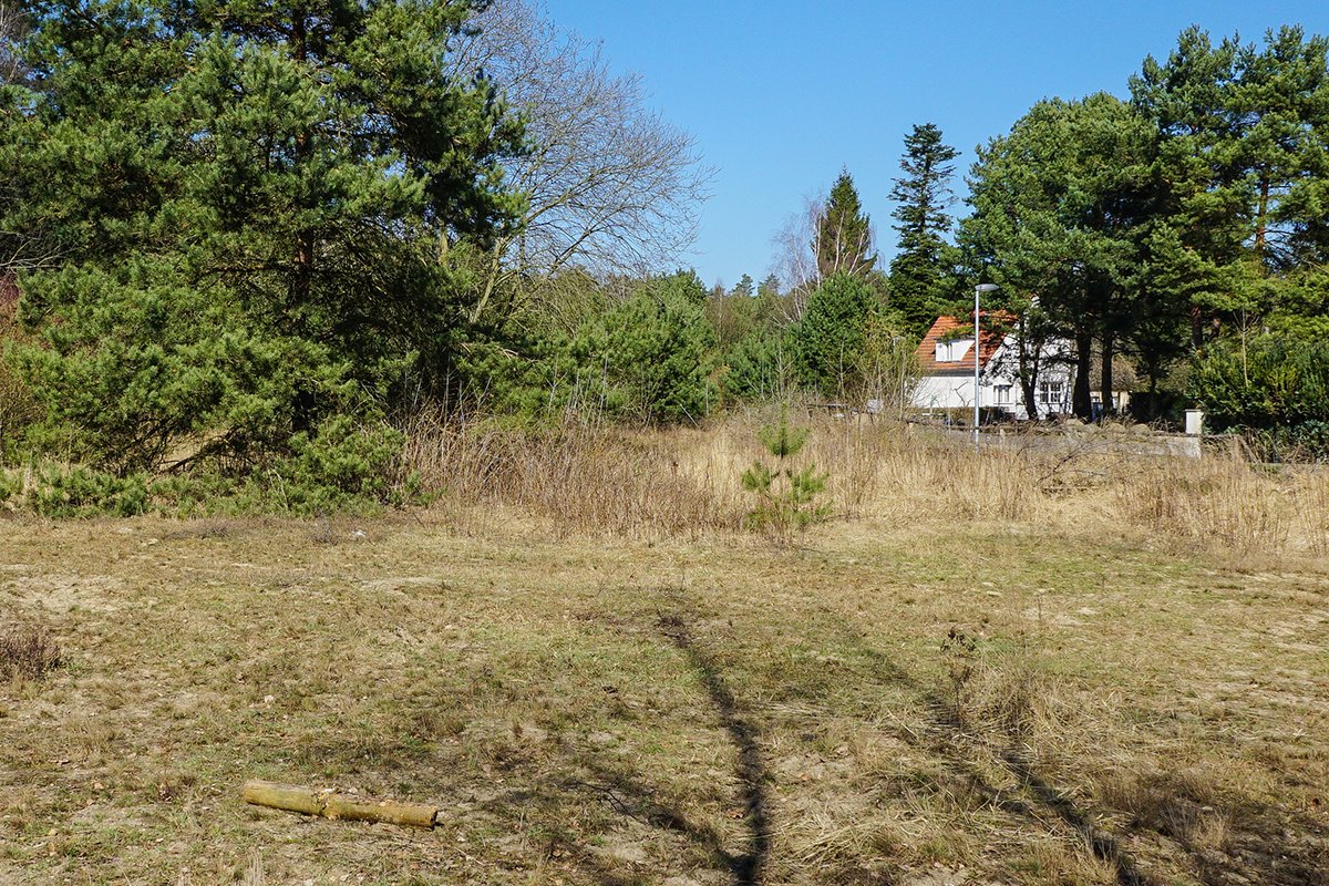 Am Teerofendamm in der Kolonie Dreilinden. Blick Richtung Norden Am Teerofendamm in der Kolonie Dreilinden. Blick Richtung Norden