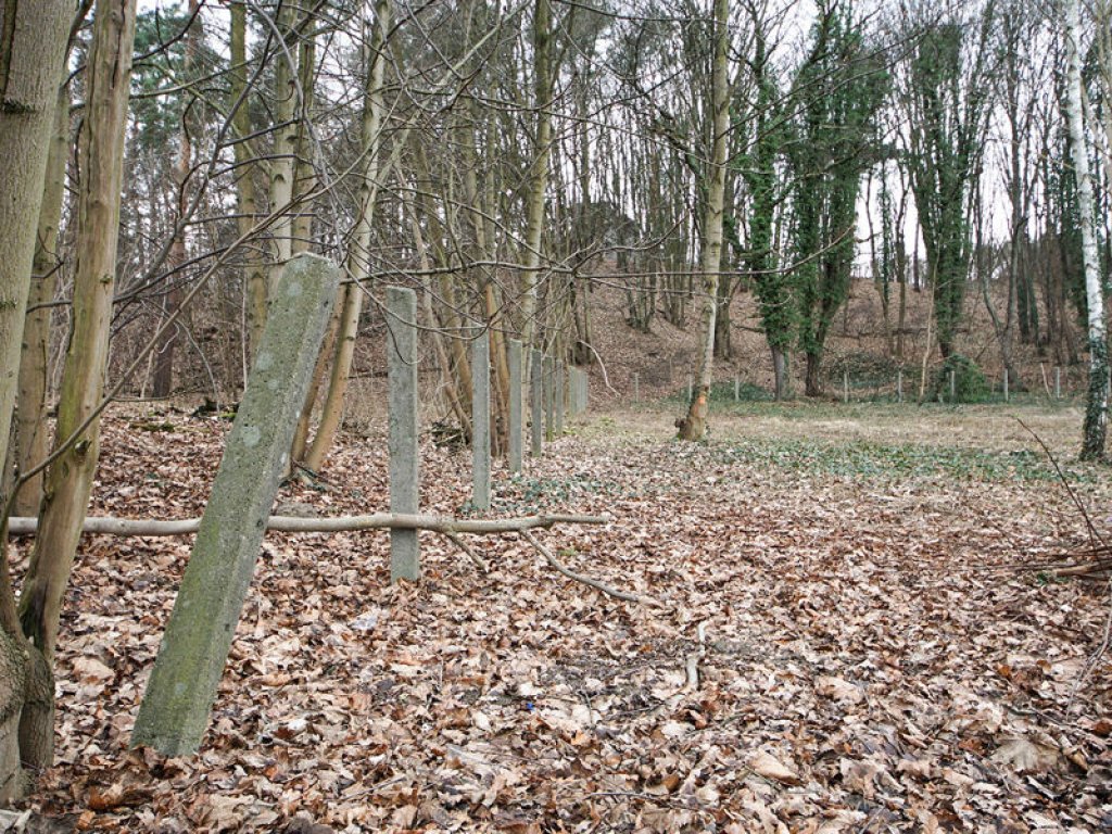 Pfostenreihe eines Sperrzaunes an der Oranienburger Straße zwischen Berlin-Hermsdorf und Glienicke Nordbahn (1); Aufnahme 2015 Pfostenreihe eines Sperrzaunes an der Oranienburger Straße zwischen Berlin-Hermsdorf und Glienicke Nordbahn (1); Aufnahme 2015
