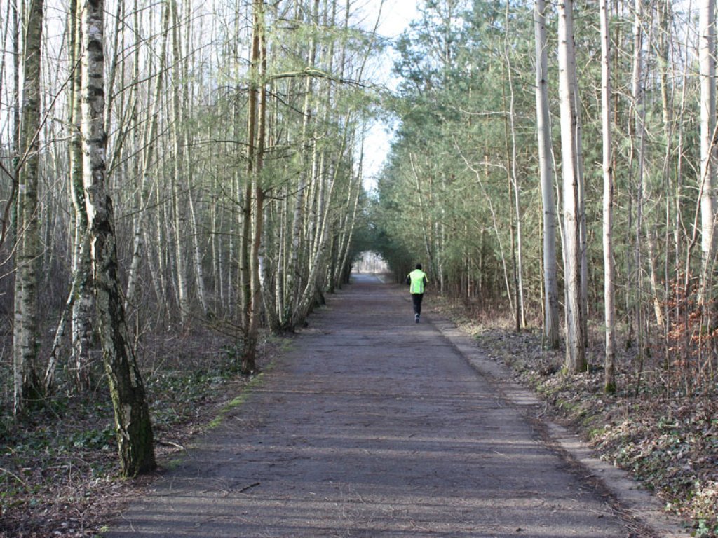 Kolonnenweg als Joggingmeile: aufgeforsteter Todesstreifen der DDR-Grenzanlagen zwischen Mahlow-Waldblick und Berlin-Lichtenrade; Aufnahme 2015