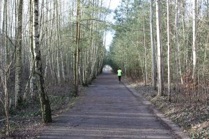 Kolonnenweg als Joggingmeile: aufgeforsteter Todesstreifen der DDR-Grenzanlagen zwischen Mahlow-Waldblick und Berlin-Lichtenrade; Aufnahme 2015