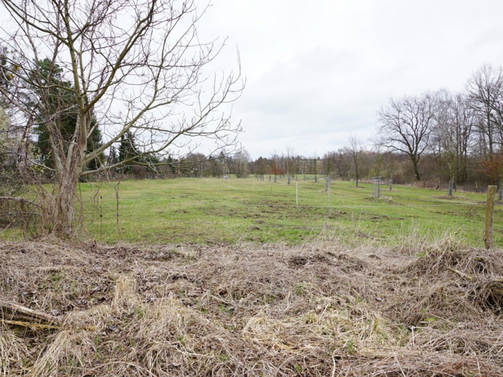 Weideland im Todesstreifen der DDR-Grenzanlagen zwischen Kleinmachnow und Berlin-Düppel; Aufnahme 2015