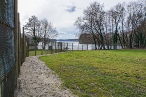 Drei Meter hoher Sperrzaun aus Streckmetallgitterplatten (vorderes Sperrelement der DDR-Grenze) am Groß Glienicker See (1); Aufnahme 2015