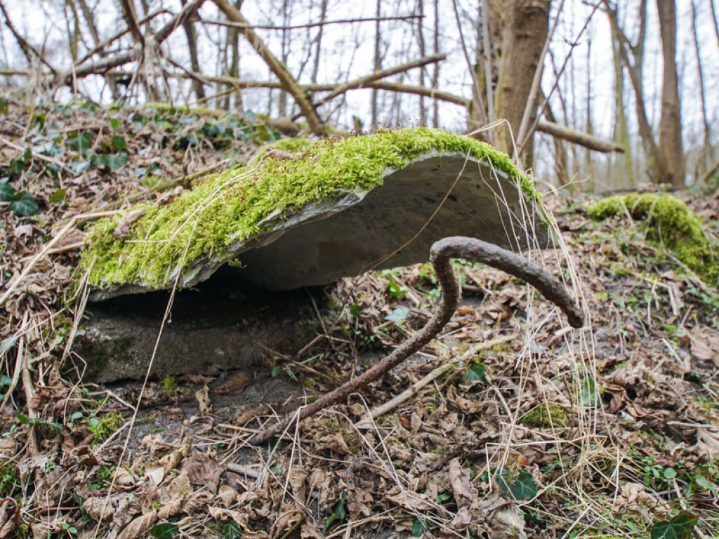 Reste einer Asbest-Rohrauflage der Berliner Mauer im Wald nördlich von Groß Glienicke (1); Aufnahme 2015