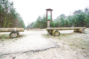 Ehemaliger Kolonnenweg und Todesstreifen in Stolpe-Süd; Aufnahme 2015