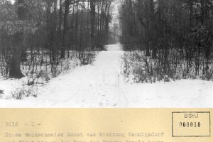 Peter Kreitlow, erschossen an der Berliner Mauer: Tatortfoto des MfS von Fluchtspuren in einer Waldschneise im Raum Nieder Neuendorf, 24. Januar 1963