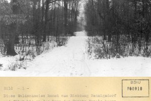 Peter Kreitlow, shot dead at the Berlin Wall: MfS crime site photo of escape tracks in a forest clearing in the area of Nieder Neuendorf [Jan. 24, 1963]