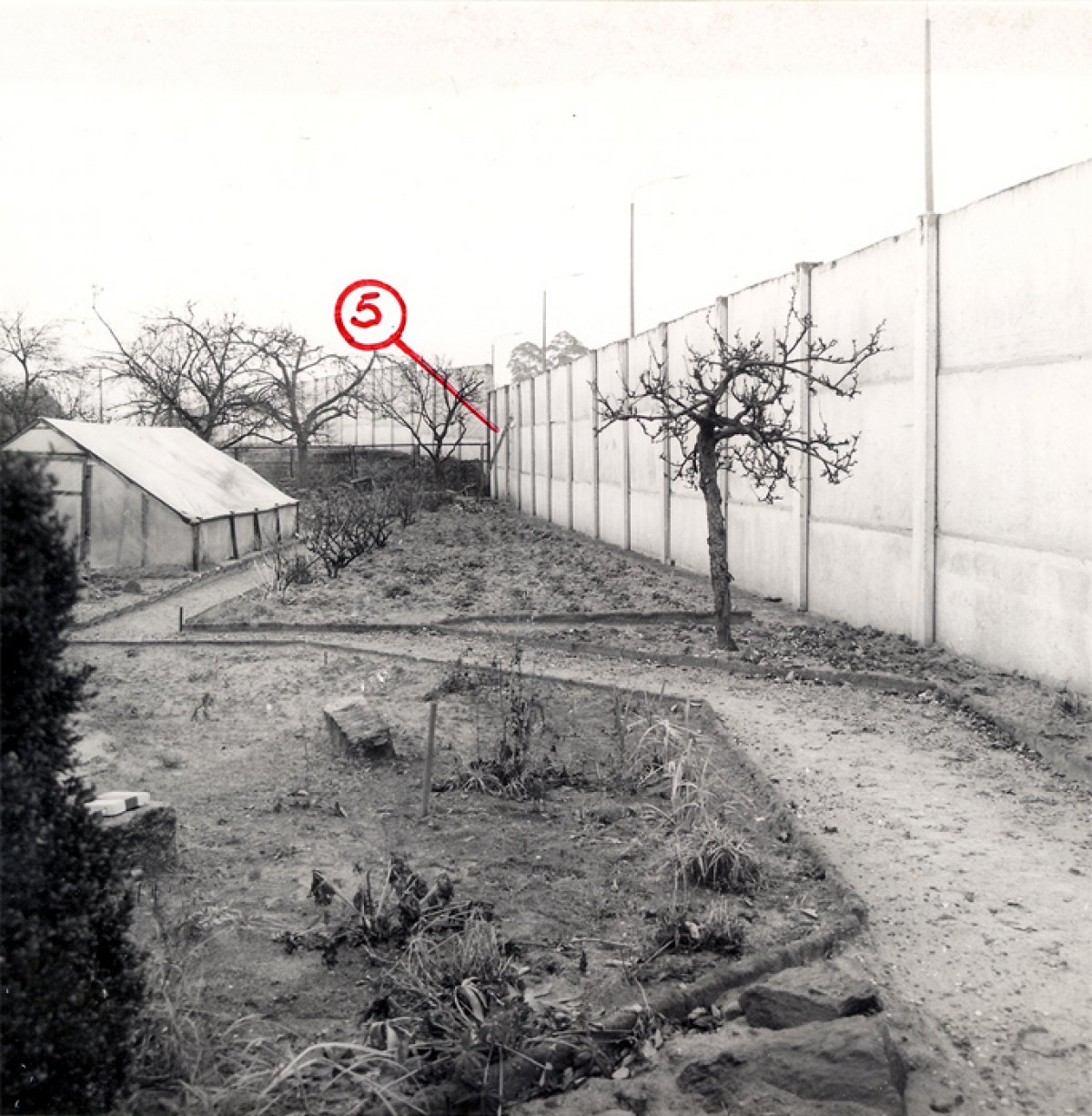 Marienetta Jirkowsky, shot dead at the Berlin Wall: Escape ladder at the interior wall on Florastrasse in Hohen Neuendorf [MfS photo: Nov. 22, 1980]