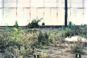 Lothar Fritz Freie, shot at the Berlin Wall and died from his injuries: MfS photo of the site where the bullet casings were found