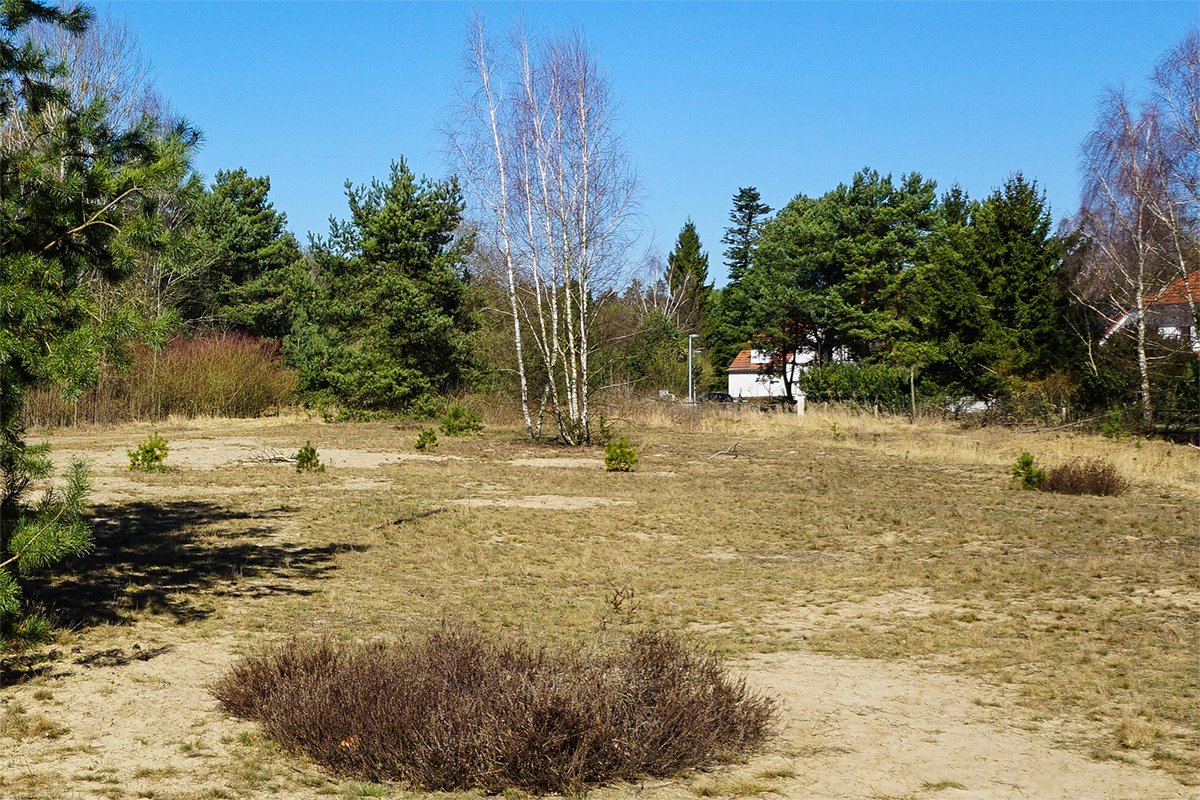 Am Teerofendamm in der Kolonie Dreilinden. Blick Richtung Norden Am Teerofendamm in der Kolonie Dreilinden. Blick Richtung Norden