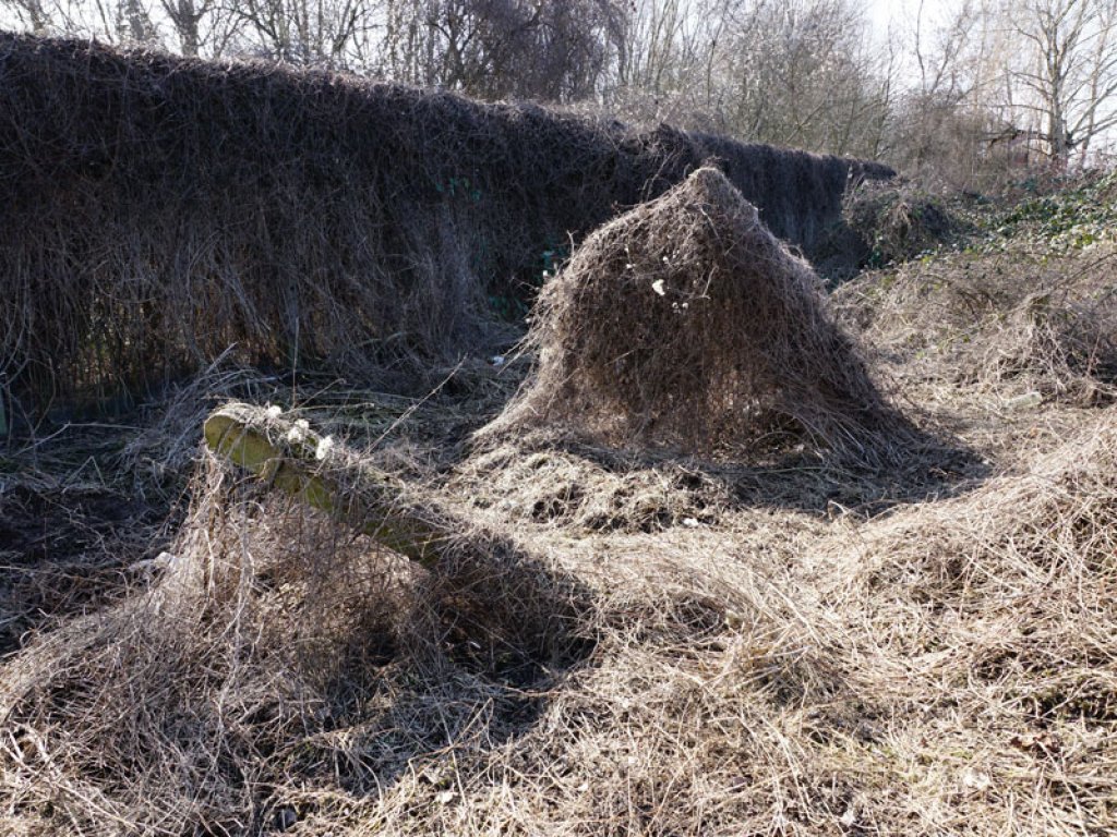 Einkokonierter Streckmetallgitterzaun als vorderstes Sperrelement am Teltowkanal und vorgelagerte Betonpfosten der DDR-Grenzanlagen zwischen Teltow-Seehof und Berlin-Lichterfelde; Aufnahme 2015