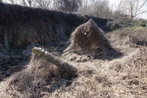 Einkokonierter Streckmetallgitterzaun als vorderstes Sperrelement am Teltowkanal und vorgelagerte Betonpfosten der DDR-Grenzanlagen zwischen Teltow-Seehof und Berlin-Lichterfelde; Aufnahme 2015