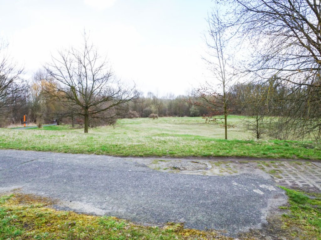 Fundamentspuren eines Beobachtungsturmes der Grenztruppen im Todesstreifen der DDR-Grenzanlagen in Teltow; Aufnahme 2015