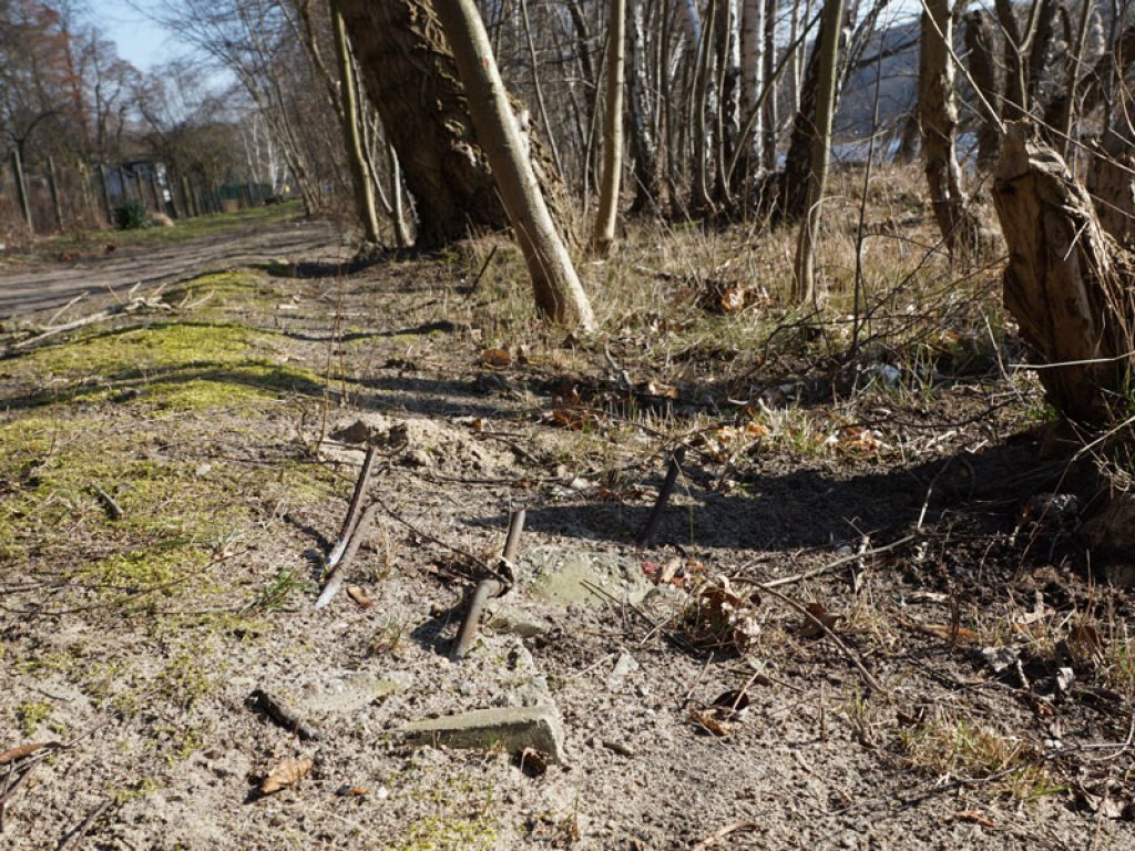 Eisenreste der DDR-Grenzanlagen auf der Halbinsel Meedehorn bei Sacrow; Aufnahme 2015