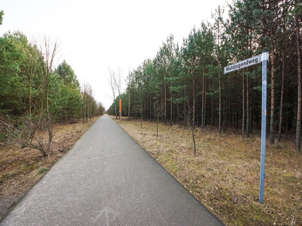 Kolonnenweg der DDR-Grenztruppen im mit Kiefern aufgeforsteten Todesstreifen bei Bergfelde; Aufnahme 2016