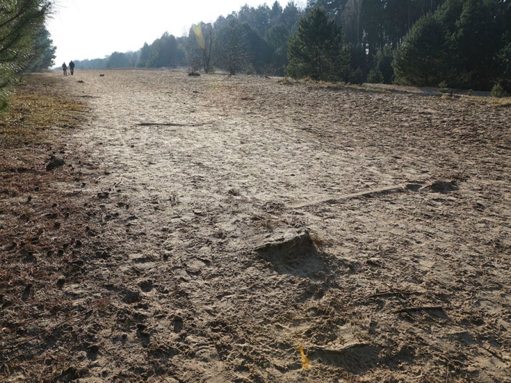 Eingetretene Mauerbetonreste im Todesstreifen nördlich von Glienicke Nordbahn; Aufnahme 2015