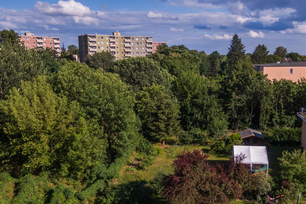 Zwischen Teltow-Seehof und Lichterfelde-Süd – Blick vom Teltowkanal Richtung Süden