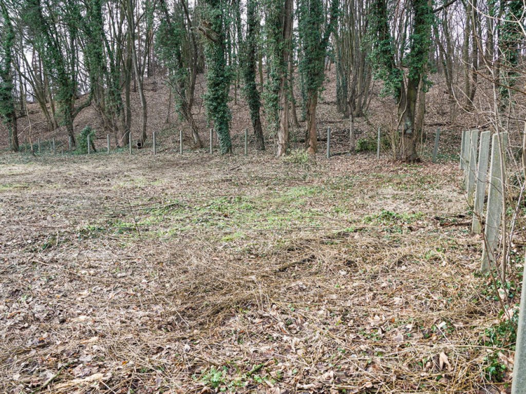 Pfostenreihe eines Sperrzaunes an der Oranienburger Straße zwischen Berlin-Hermsdorf und Glienicke Nordbahn (2); Aufnahme 2015 Pfostenreihe eines Sperrzaunes an der Oranienburger Straße zwischen Berlin-Hermsdorf und Glienicke Nordbahn (2); Aufnahme 2015