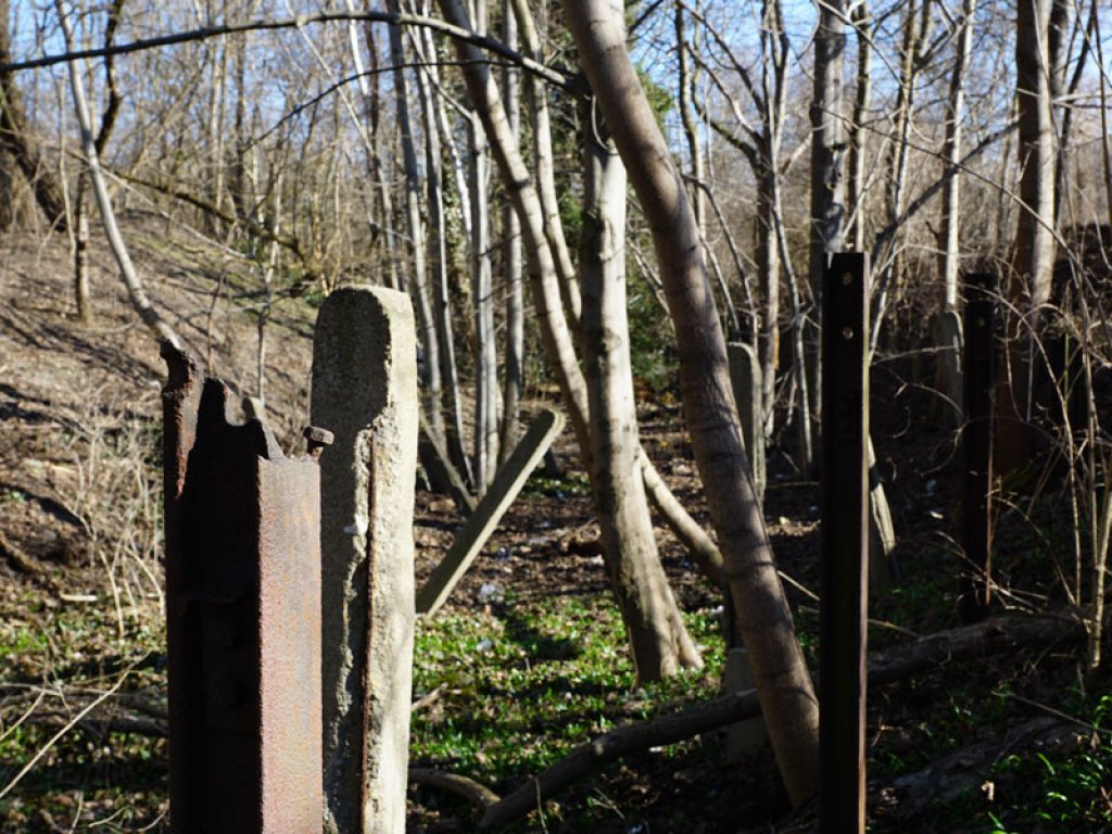 Beton- und Eisenpfosten des Hinterlandsicherungssystems der DDR-Grenzanlagen zwischen Teltow-Seehof und Berlin-Lichterfelde (1); Aufnahme 2015