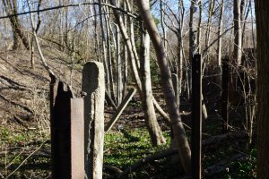 Beton- und Eisenpfosten des Hinterlandsicherungssystems der DDR-Grenzanlagen zwischen Teltow-Seehof und Berlin-Lichterfelde (1); Aufnahme 2015