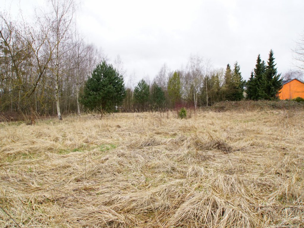 Grasüberwucherter Todesstreifen der DDR-Grenzanlagen zwischen Kleinmachnow und Berlin-Düppel; Aufnahme 2015