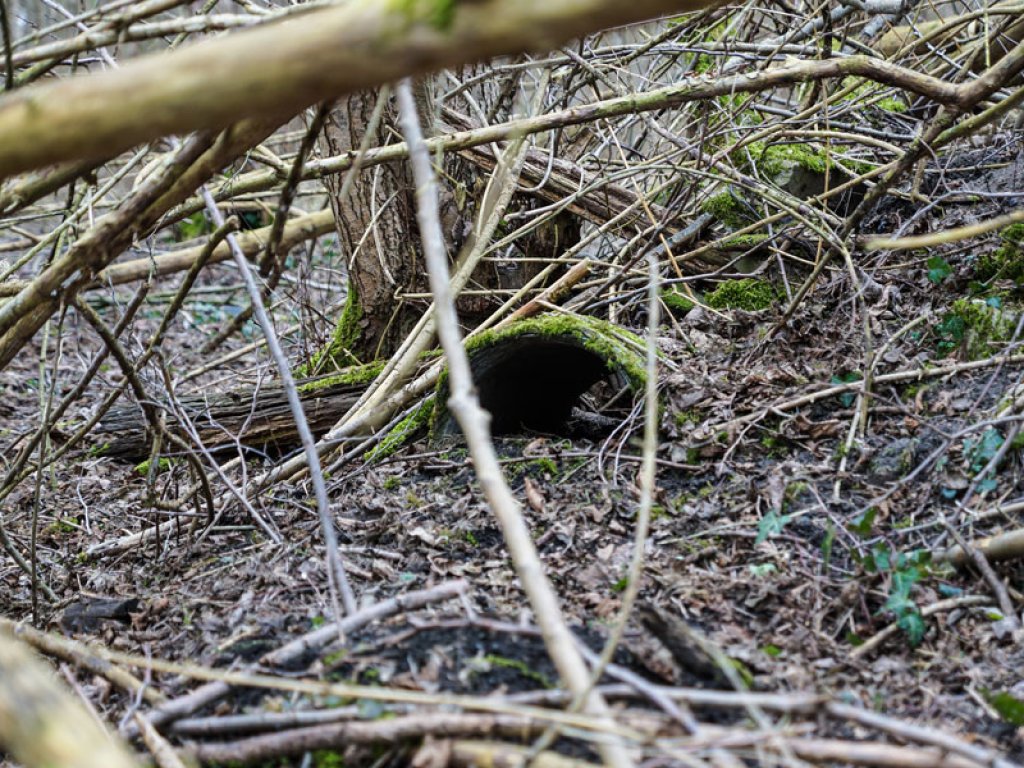 Reste einer Asbest-Rohrauflage der Berliner Mauer im Wald nördlich von Groß Glienicke (2); Aufnahme 2015