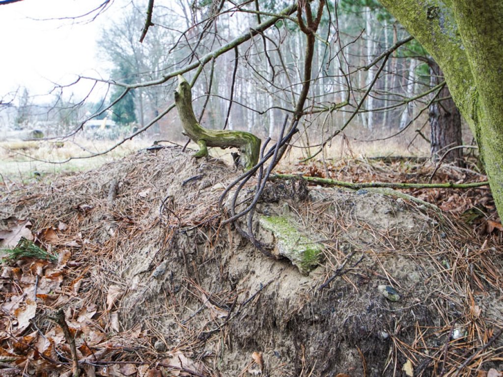 Beton- und Eisenreste der DDR-Grenzanlagen in Stolpe-Süd; Aufnahme 2015