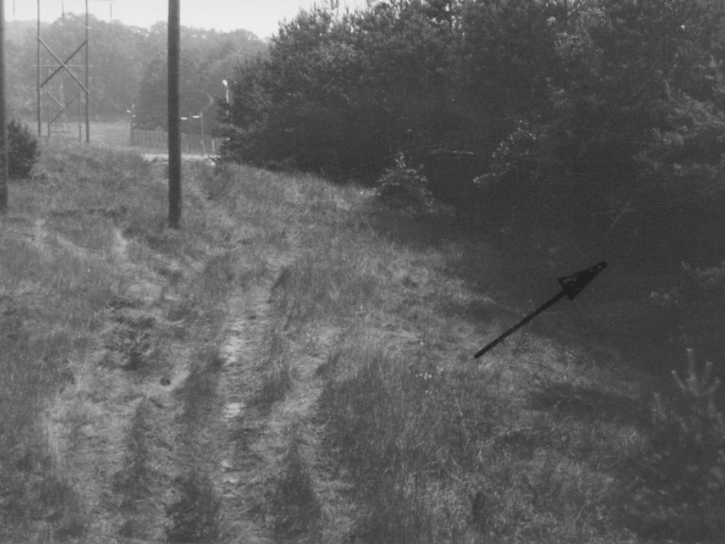 Willi Born, suicide at the Berlin Wall: East German border troop crime site photo marking the escape site in a patch of woods in Bergfelde [July 7, 1970]