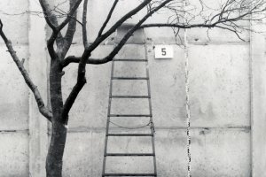 Marienetta Jirkowsky, shot dead at the Berlin Wall: Close-up of the escape ladder at the interior wall on Florastrasse in Hohen Neuendorf [MfS photo: Nov. 22, 1980]