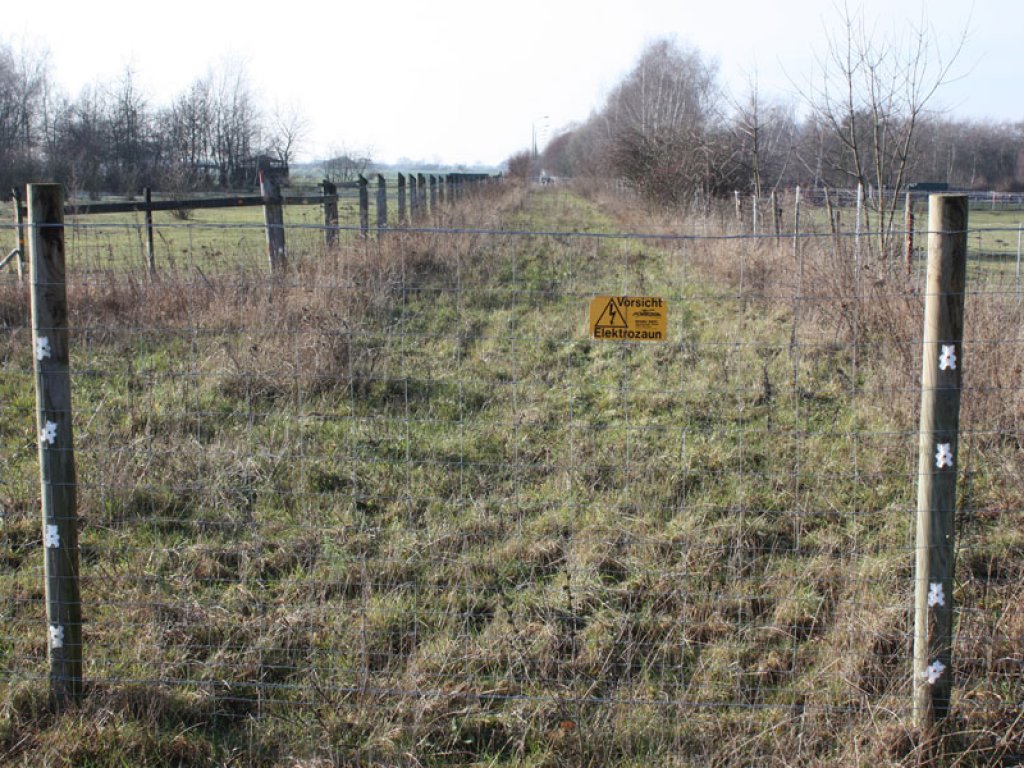 Überwucherter Kolonnenweg der DDR-Grenzanlagen in Berlin-Schönefeld; Aufnahme 2015