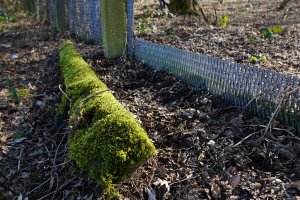 Umgestürzter, bemooster Betonpfosten des Streckmetallgitterzauns als vorderstes Sperrelement der DDR-Grenzanlagen zwischen Teltow-Seehof und Berlin-Lichterfelde; Aufnahme 2015