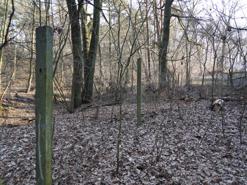 Betonpfostenreihe eines Hinterland-Sicherungszaunes der DDR-Grenzanlagen am Sacrower See; Aufnahme 2015