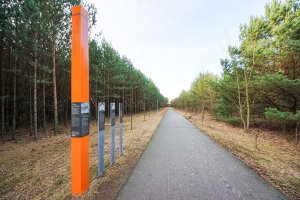 Neu asphaltierter Kolonnenweg der DDR-Grenztruppen (heute: Waldjugendweg) im Todesstreifen bei Bergfelde; Aufnahme 2015