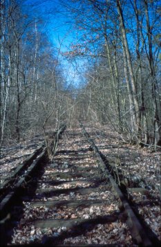 Gleise der ehemaligen Stahnsdorfer Friedhofsbahn