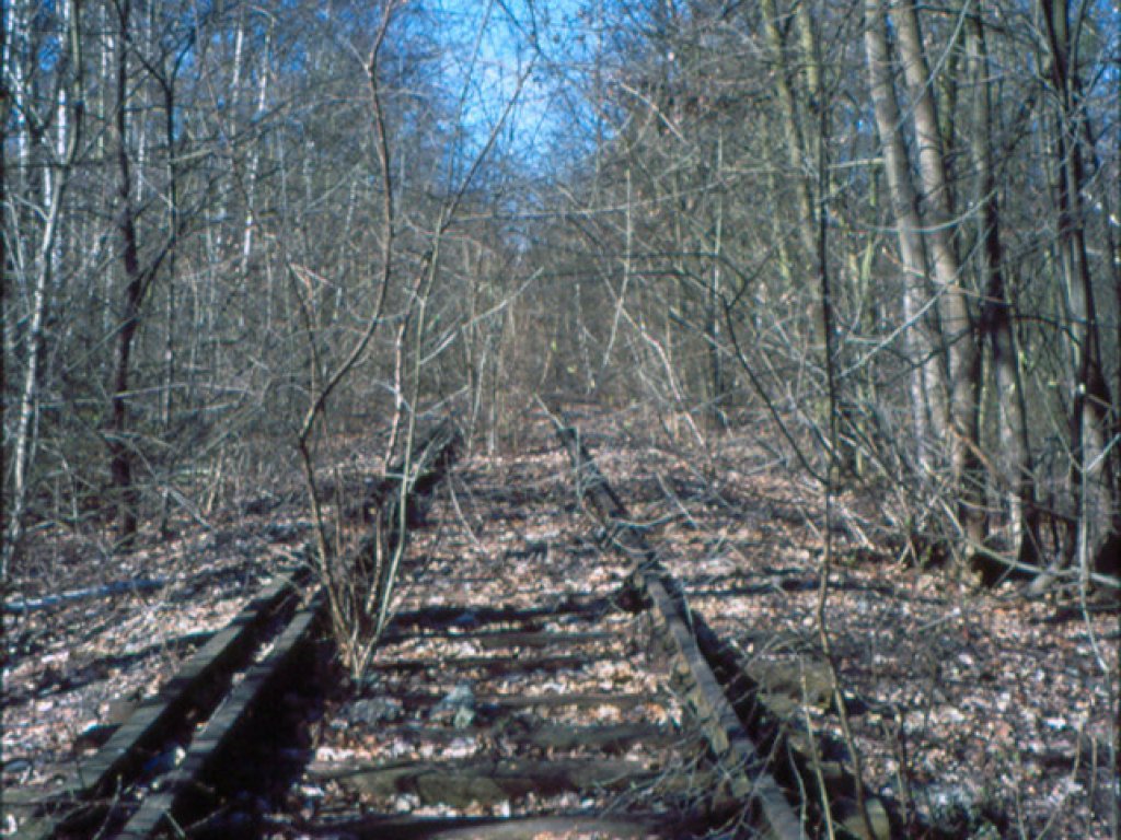 Gleise der ehemaligen Stahnsdorfer Friedhofsbahn