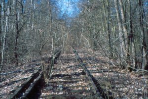 Gleise der ehemaligen Stahnsdorfer Friedhofsbahn