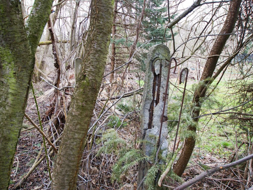 Pfostenreihe eines Hinterlandsicherungszaunes der DDR-Grenzanlagen bei Kleinmachnow; Aufnahme 2015