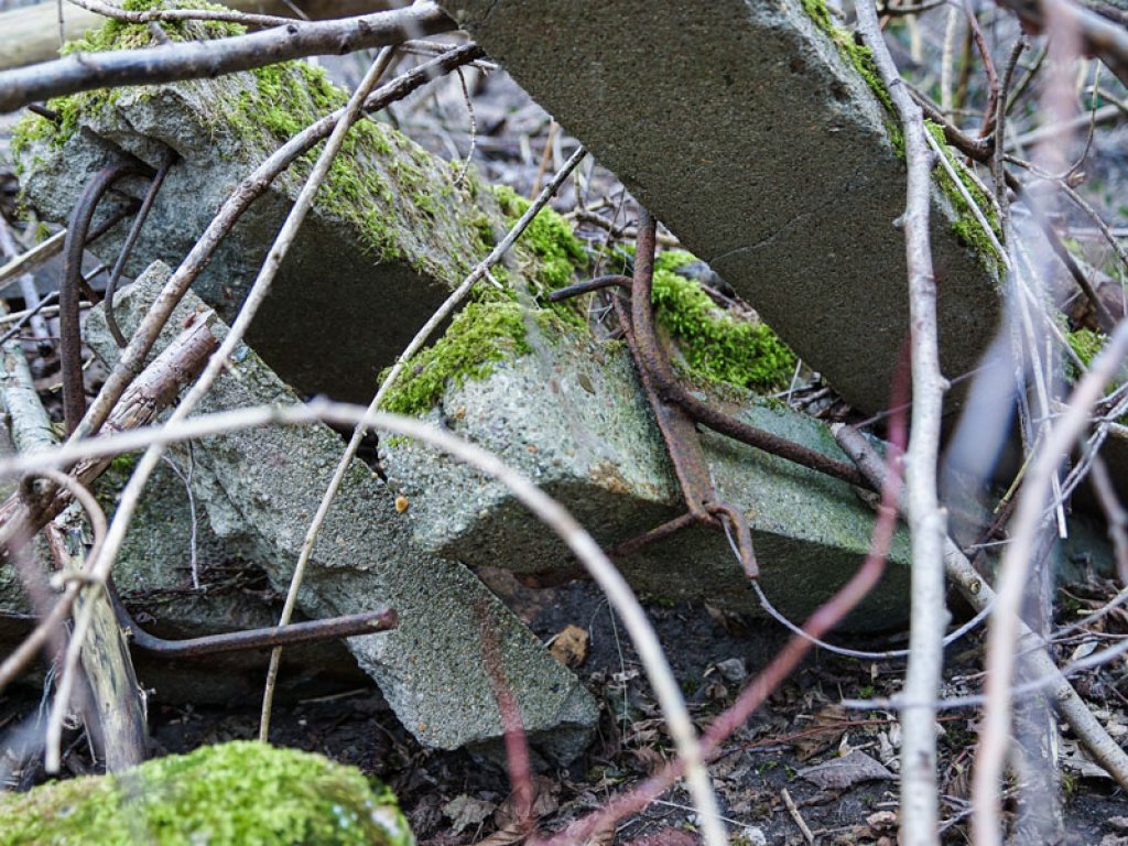 Grenzzaunpfosten der DDR-Grenzanlagen im Wald nördlich von Groß Glienicke; Aufnahme 2015