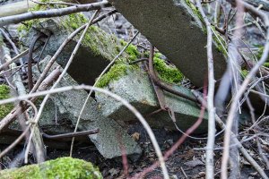 Grenzzaunpfosten der DDR-Grenzanlagen im Wald nördlich von Groß Glienicke; Aufnahme 2015