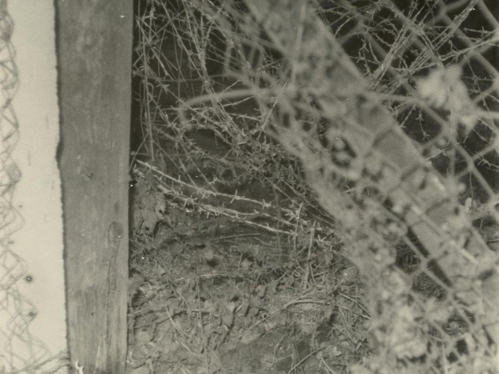 Dieter Wohlfahrt, shot at the Berlin Wall: The hole in the barbed wire that was supposed to facilitate an escape – but instead cost Dieter Wohlfahrt his life. (MfS photo) [Dec. 9, 1961]