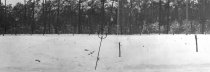 Christian Buttkus, shot dead at the Berlin Wall: MfS photo of escape site near Kleinmachnow on the sector border between the Potsdam county district and Berlin-Zehlendorf [March 4, 1965]