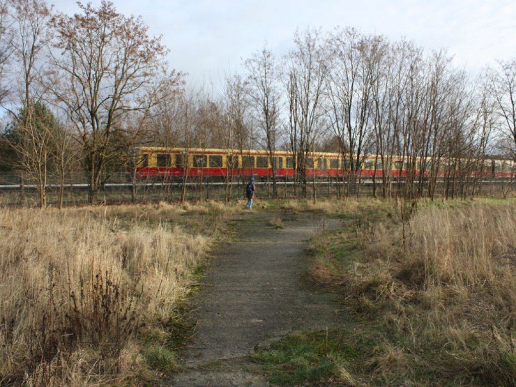 Verwilderter Todesstreifen mit Kolonnenweg der DDR-Grenztruppen vor der S-Bahn-Strecke zwischen Mahlow und Berlin-Lichtenrade; Aufnahme 2015