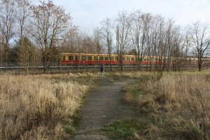 Verwilderter Todesstreifen mit Kolonnenweg der DDR-Grenztruppen vor der S-Bahn-Strecke zwischen Mahlow und Berlin-Lichtenrade; Aufnahme 2015