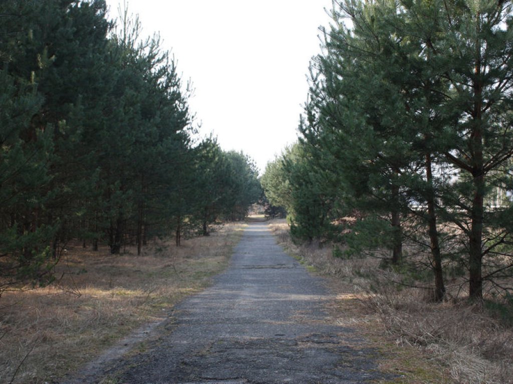 Gedenkstelen für Joachim Mehr; Aufnahme 2015 Gedenkstelen für Joachim Mehr, am 3. Dezember 1964 auf der Flucht erschossen, für Willi Born, der am 7. Juli 1970 nach der Entdeckung seiner Flucht Suizid beging und für Rolf-Dieter Kabelitz, der 23 Tage nach seiner Flucht am 7. Januar 1971 den Schussverletzungen erlag, in der Nähe des Naturschutzturmes der Deutschen Waldjugend in Bergfelde; Aufnahme 2015