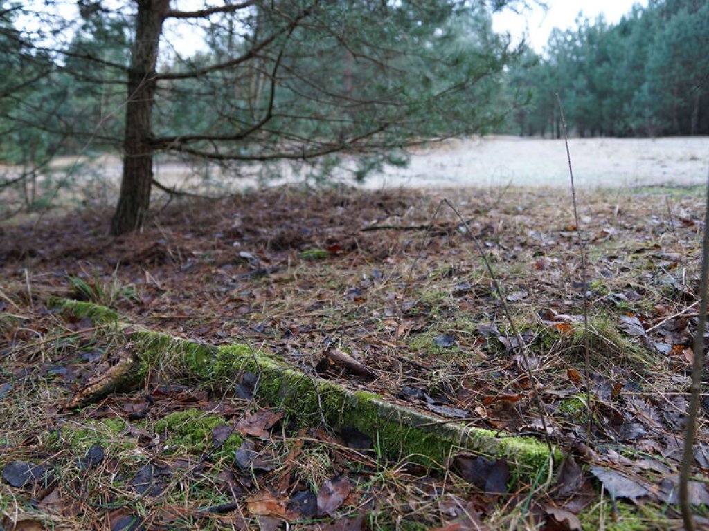 Eingetretener Betonpfosten im Todesstreifen nördlich von Glienicke Nordbahn (2); Aufnahme 2015