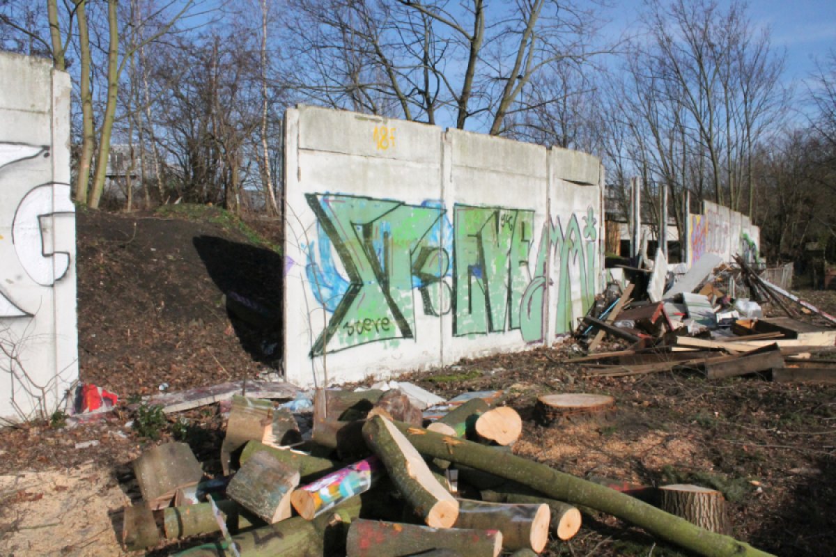 Ein graues, teilweise bemaltes Stück der Hinterlandmauer zieht sich durch das Bild. An mehreren Stellen sind Betonelemente herausgebrochen und liegen teilweise vor der Mauer. Hinter der Mauer stehen kahle Bäume. Im Vordergrund liegt ein Haufen zersägter Baumstämme.