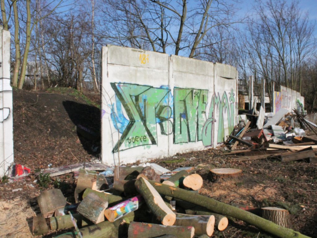 Hinterlandmauer nahe der Dolomitenstraße in Pankow: Trotz Bemühungen um den Erhalt seitens der Stiftung Berliner Mauer und des DDR-Museums ist das 60 Meter lange Mauerstück im März 2020 abgerissen worden, 13. Februar 2020 Ein graues, teilweise bemaltes Stück der Hinterlandmauer zieht sich durch das Bild. An mehreren Stellen sind Betonelemente herausgebrochen und liegen teilweise vor der Mauer. Hinter der Mauer stehen kahle Bäume. Im Vordergrund liegt ein Haufen zersägter Baumstämme.